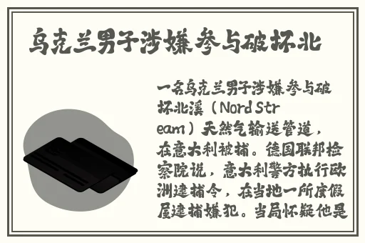 麻花传MD0714苏密清歌
